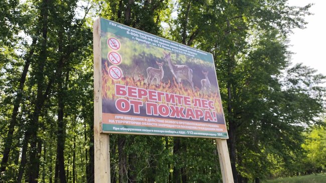 Как не разжечь костер ценой в 50 000 рублей?