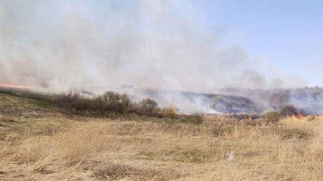 Оренбуржье накрыла череда степных пожаров  
