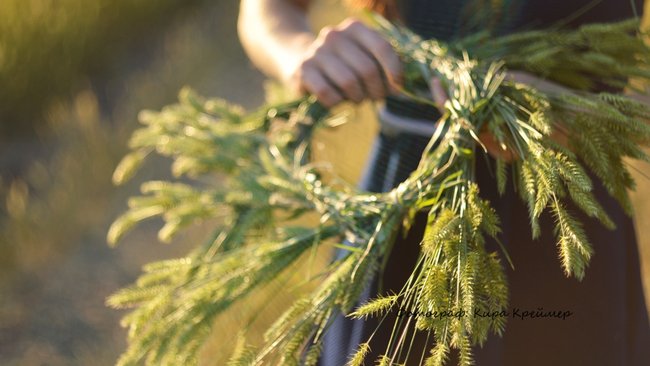 Бузулучанам на заметку: какие законы вступают в силу в июне