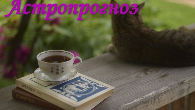 Девам в понедельник звезды не советуют давать деньги друзьям в долг