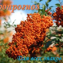 Возможно, Рыбам придется осознать, что не все новое - к лучшему