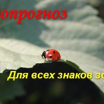 Овны будут встречать гостей, Весами овладеет лень, а Водолеям следует поберечь деньги