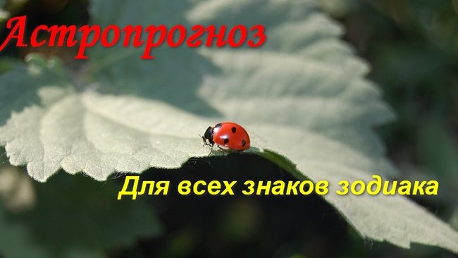 Звёзды не рекомендуют Овнам сейчас давать и брать деньги в долг