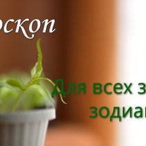 Эта неделя заставит Овнов проявить всю бдительность и контроль