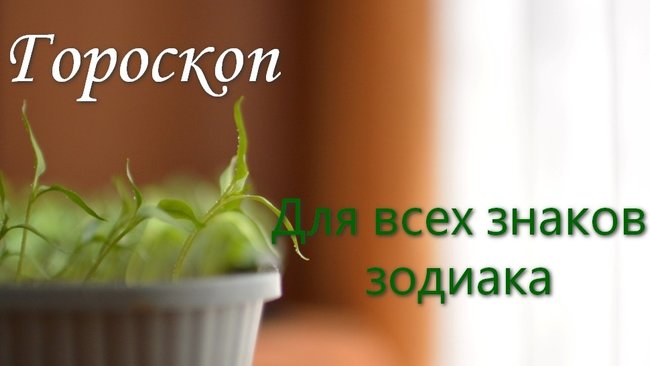 В начале недели Близнецам лучше не вступать в споры с партнёром 