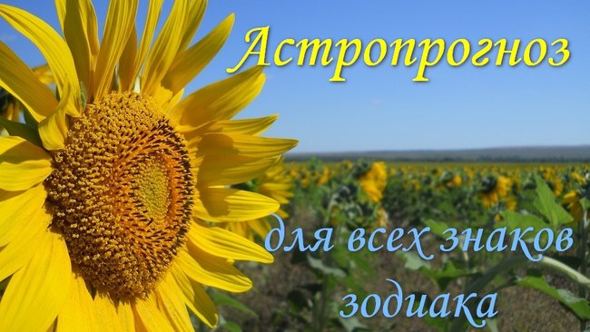 Следующая неделя - не лучшее время для Овнов