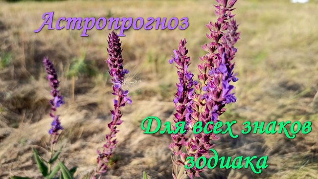 Львам можно начинать ремонтные работы, генеральную уборку