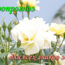 Весы, не останавливайтесь, пока не достигнете намеченной цели