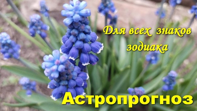 Тельцы, на работе воздержитесь от пустого общения с болтливыми коллегами