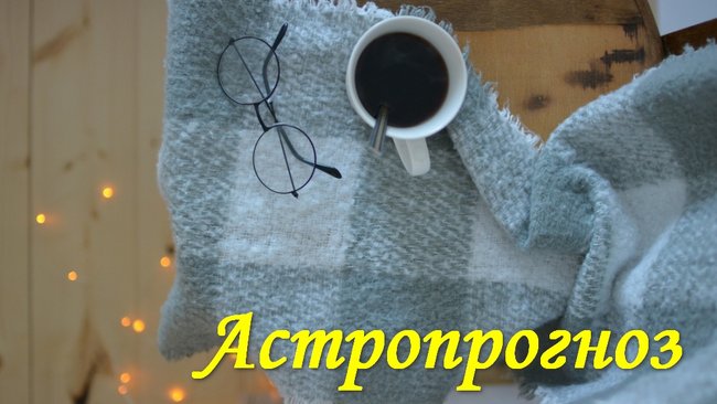 Весам лучше не заводить новых знакомств и не совершать поездок на личном транспорте