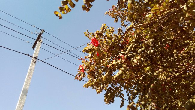 В Бузулукском районе на завтра запланированы отключения электроэнергии 