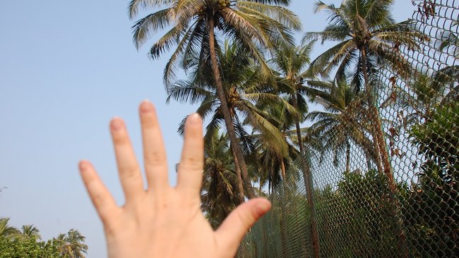 Как ситуация в мире повлияла на выбор мест для отдыха бузулучан? 