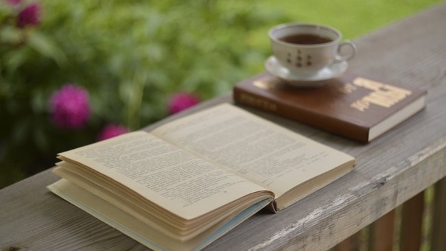 Шаверма, решала, джетлаг: в словарь русского языка добавили 151 слово