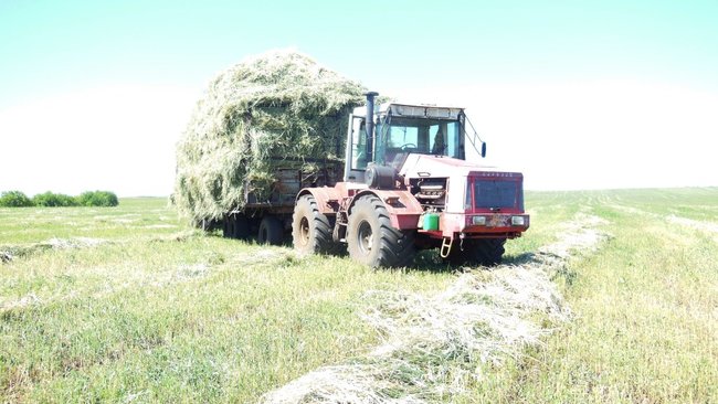 Сельское хозяйство Оренбуржья не в лидерах ПФО по уровню зарплат  