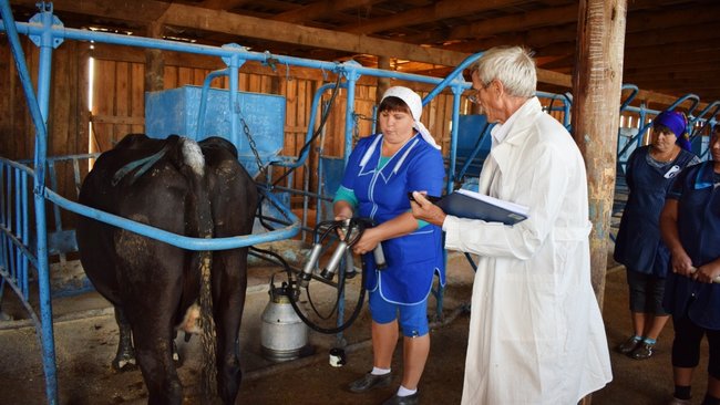 Из чего молокозаводы Оренбуржья делают столько продукции? 