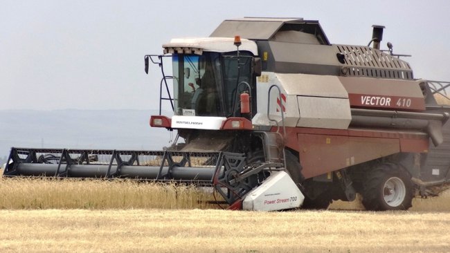 В Оренбуржье могут возникнуть проблемы с урожаем из-за дефицита осадков