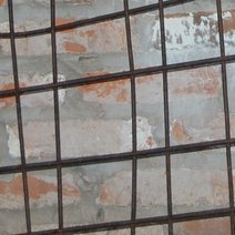 В соседнем районе мужчина намеренно довел до истощения овцу 
