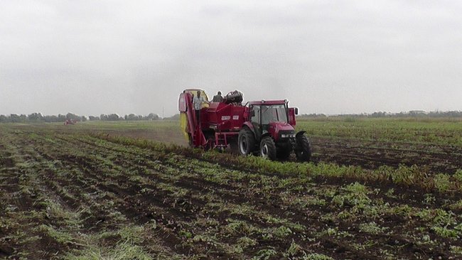 В Бузулукском районе не хватает кадров в сфере сельского хозяйства 