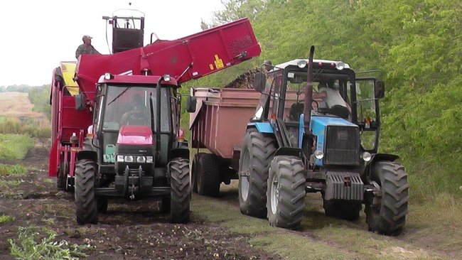 Обманувший мужчину в Бузулуке мошенник сказал, что пошел на это ради больного отца  