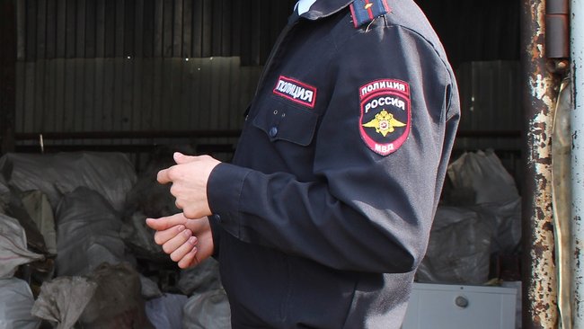 В Бузулуке спасали лебедя и проверяли подозрительную черную сумку 