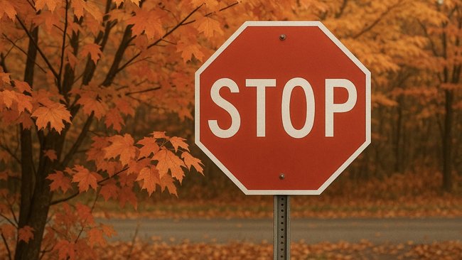 С 13 ноября на улице Матросова будет ограничено движение