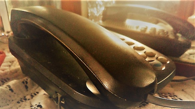 Патроны от охотничьего ружья, браконьеры, «тарзанка» и попытка суицида: почти 23 тысячи обращений за неделю