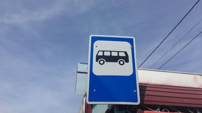 Новые виды дорожных знаков появятся в России