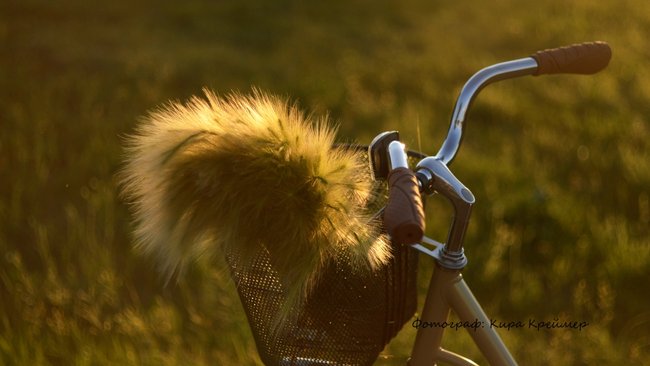 Кто выиграл? Первый розыгрыш призов среди вакцинированных оренбуржцев состоялся