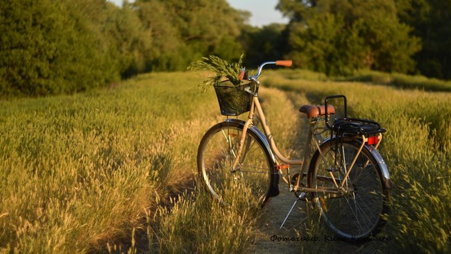 Оренбуржцы не отличились сильной приверженностью к здоровому образу жизни 