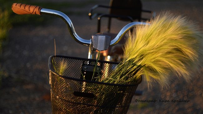 Бузулучанин отработает за украденный из подъезда велосипед