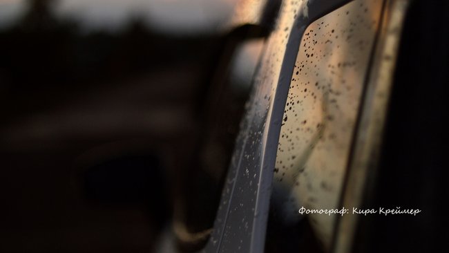 Ситуация на авторынке резко изменилась: чем грозят санкции?