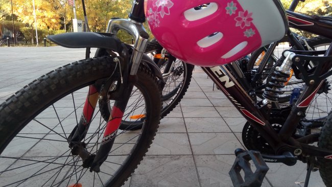 Большинству россиян пешие прогулки и велосипед не заменят любимое авто