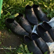 Бузулукского вахтовика обокрал четвероногий грабитель 