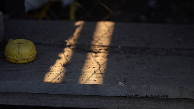 Жительница Бузулука лишилась свободы из-за найденного в тайнике 