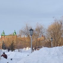 Прокуратура выявила 228 нарушений природоохранного законодательства в Бузулуке 