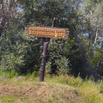 В Бузулукском бору может появиться музей 