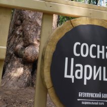 Бузулукская 