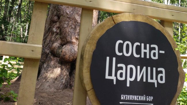 Бузулукская 