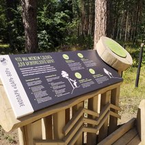 Посетитель Бузулукского бора, устроивший скандал из-за 200 рублей, заплатит штраф 