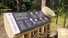 Посетитель Бузулукского бора, устроивший скандал из-за 200 рублей, заплатит штраф 