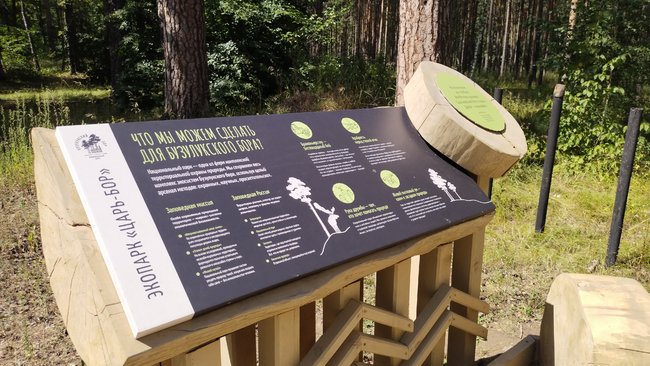 Посетитель Бузулукского бора, устроивший скандал из-за 200 рублей, заплатит штраф 