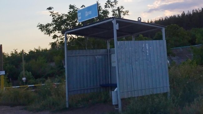 На дачах под Бузулуком женщина едва не 