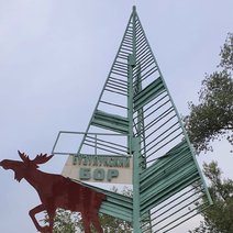 «Бузулукский бор» поставил очередной рекорд по количеству туристов