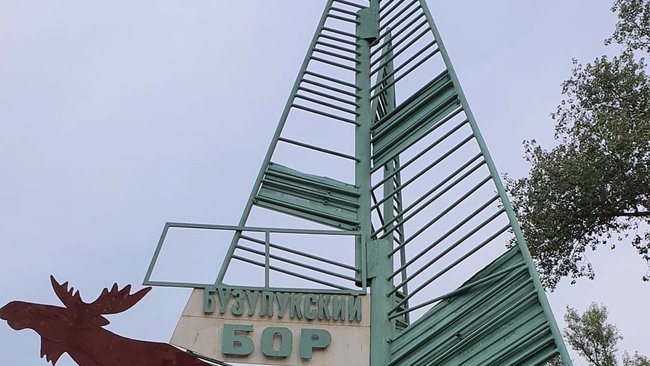 Бузулукский бор обрастет 