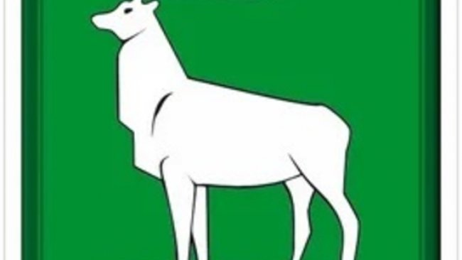 10 декабря состоятся публичные слушания о бюджете Бузулука на 2021 и плановый период 2022 и 2023 годов