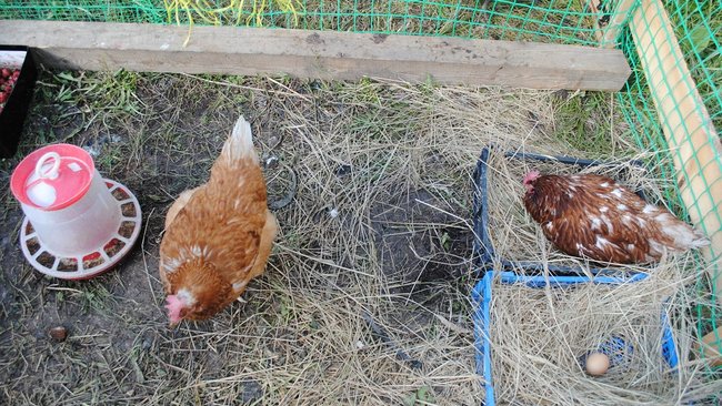 В Бузулуке соседи закидали друг друга судебными исками