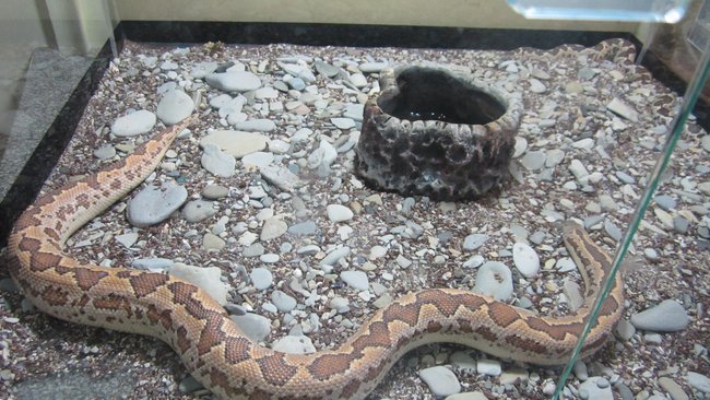 Чего больше всего боятся россияне?