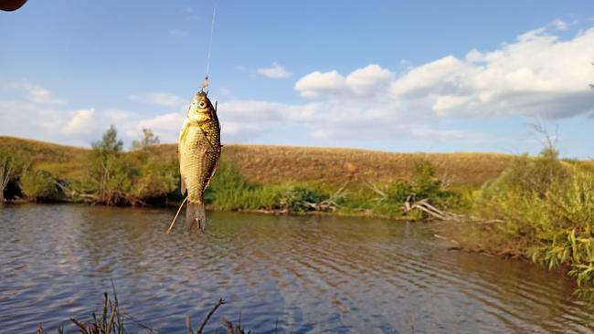 Какой штраф грозит нетрезвому рыбаку?