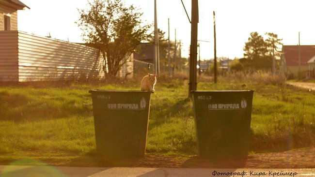 Не живет, но платит: мужчина пытался оспорить в суде квитанции за мусор 