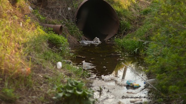 В Бузулукском районе несанкционированные свалки ликвидировать не торопятся